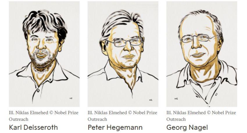 Scientists Win Nobel for Light-Based Brain Study
